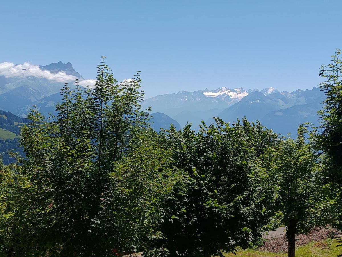 Studio Au Calme, Vue Imprenable Sur La Vallee Leysin Exterior foto