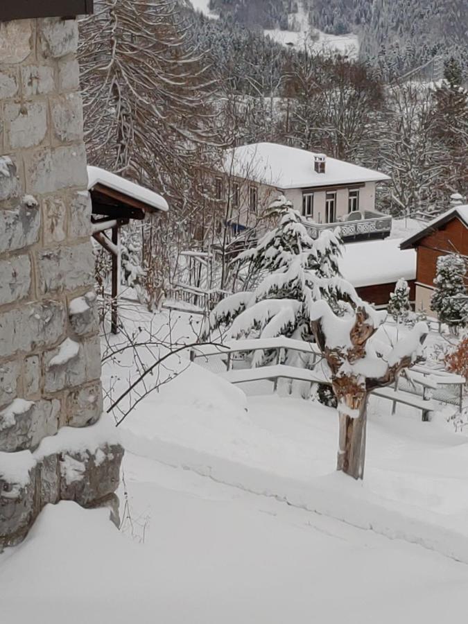 Studio Au Calme, Vue Imprenable Sur La Vallee Leysin Exterior foto