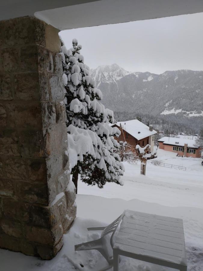 Studio Au Calme, Vue Imprenable Sur La Vallee Leysin Exterior foto